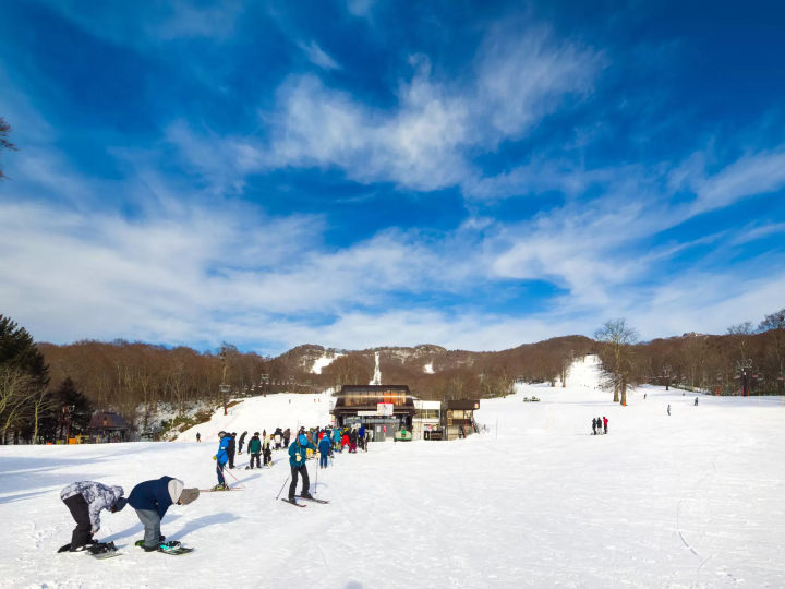 TAMBARA滑雪場|粉雪、新手與親子族群都適合