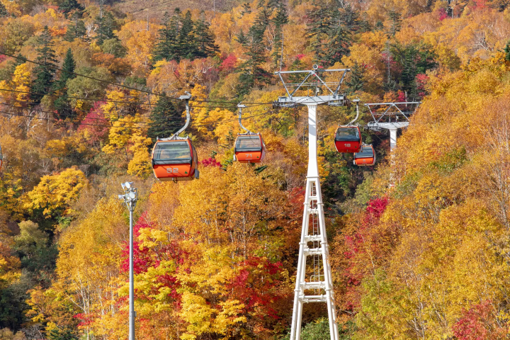 【2026】北海道10月活動推薦9選！札幌、小樽、函館秋季祭典與紅葉