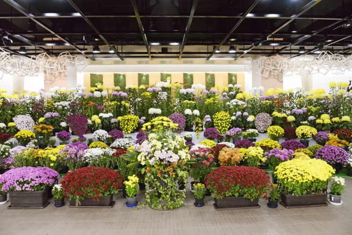 札幌菊花祭