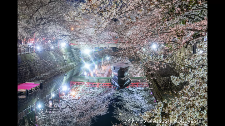名古屋から30分！城下町・大垣のインスタ映えスポットを完全ガイド