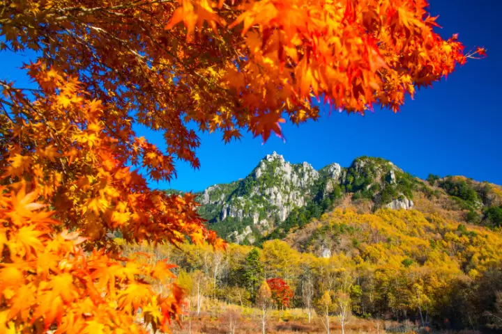 瑞牆山と紅葉のみずがき山自然公園(みずがき山自然公園)