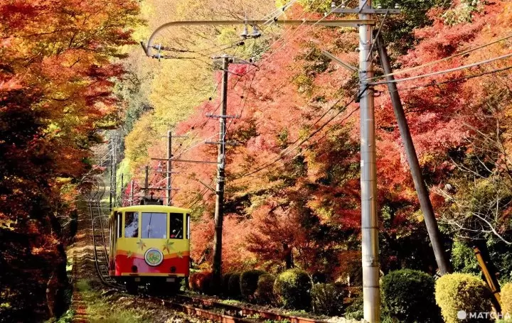 Mount Takao Autumn Leaves Festival