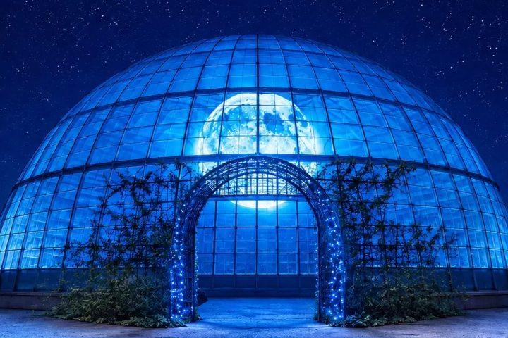 Toki no Sumika Illumination