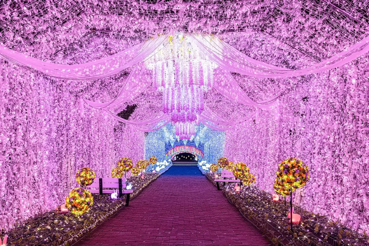 Toki no Sumika Illumination