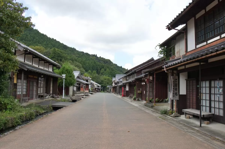 Carving Memories into Wood: A Hands-on Wood Carving Experience at Kumagawa-juku