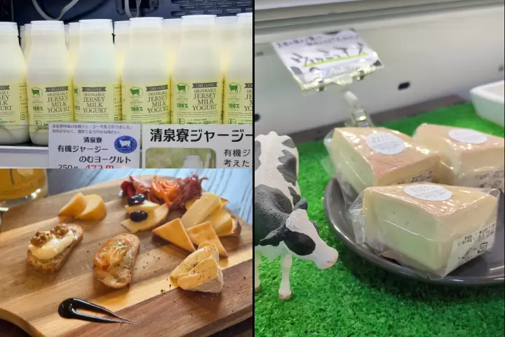 左上：清泉嶺；左下：八岳乳酪研究所 kaseLABOR；右：清里牛奶廠 