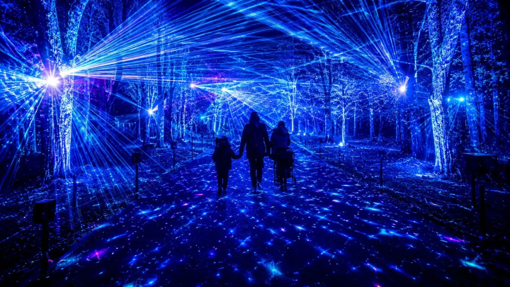 Yoyogi Forest of Lights