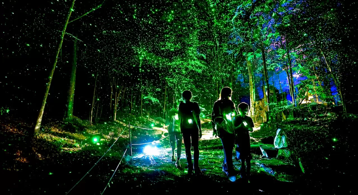 Yoyogi Forest of Lights