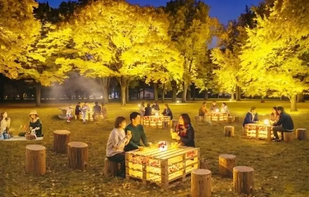 Flower and Light Movement at Koganei Park: A Story of Autumn Colors