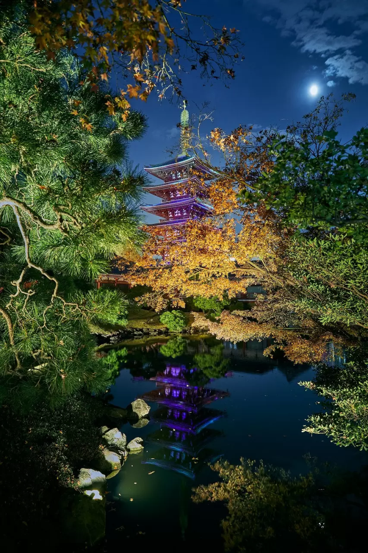 Asakusa Culture and Lights