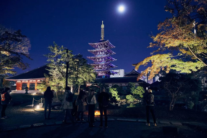 Asakusa Culture and Lights