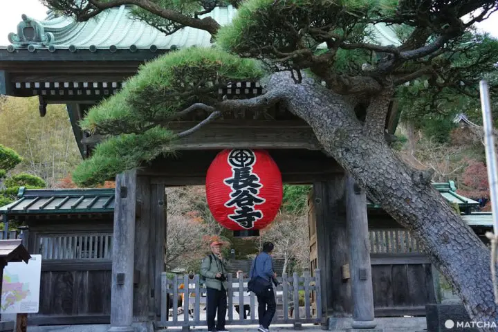 長谷寺