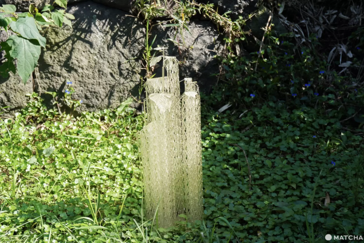 水木塁《P4(Pioneer Plants Printing Projects)》2025年藝術作品