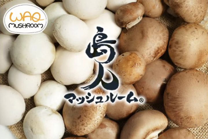 【沖縄・糸満】秋の味覚と沖縄食材で彩る『オータムブッフェ〜秋の収穫祭〜』開催