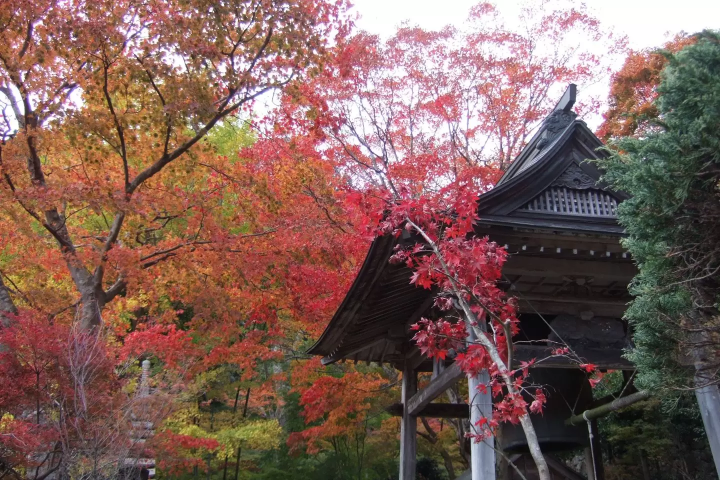 [Autumn in Matsusaka, Mie] Breathtaking Foliage & Nature! 7 Scenic Spots to Visit