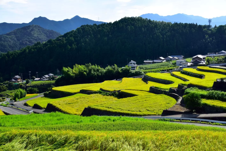[Autumn in Matsusaka, Mie] Breathtaking Foliage & Nature! 7 Scenic Spots to Visit