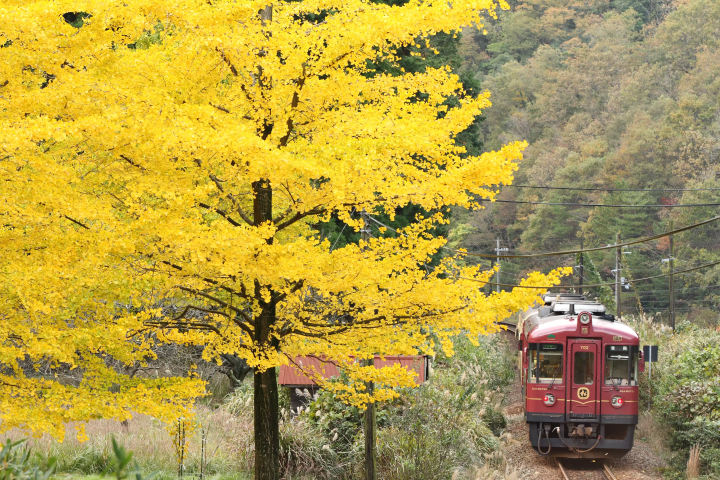 照片由 WILLER TRAINS, Inc. 提供。