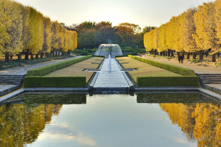 昭和紀念公園秋季風景