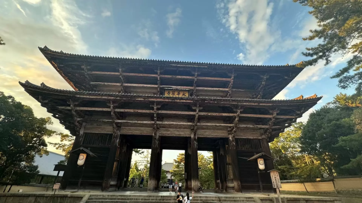 【2026年版】奈良国立博物館「正倉院展」の楽しみ方!見どころや交通等詳しく紹介