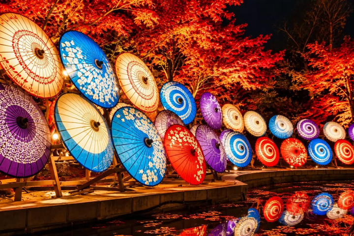 Matsushima Imperial Villa Autumn Leaves Light-Up