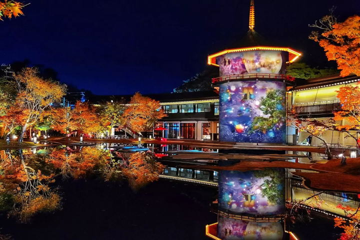 Matsushima Imperial Villa Autumn Leaves Light-Up