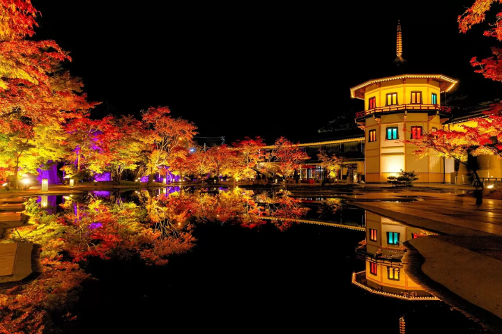 Matsushima Imperial Villa Autumn Leaves Light-Up