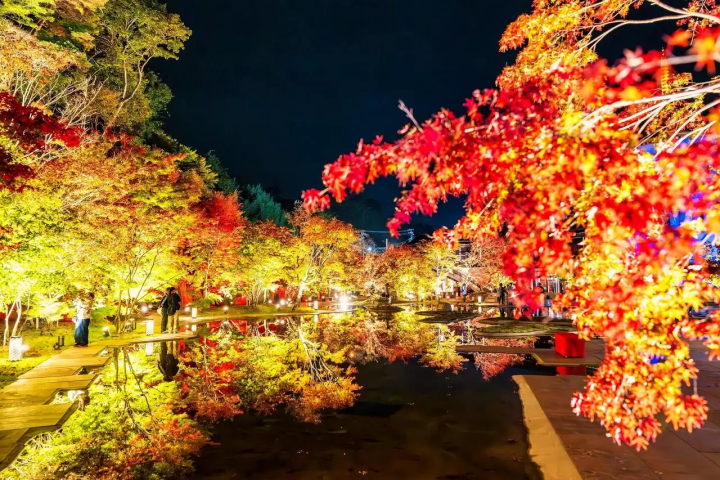 Matsushima Imperial Villa Autumn Leaves Light-Up