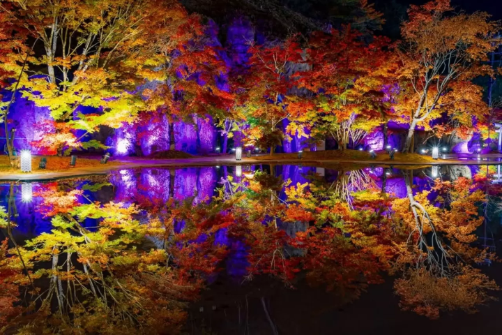 Matsushima Imperial Villa Autumn Leaves Light-Up