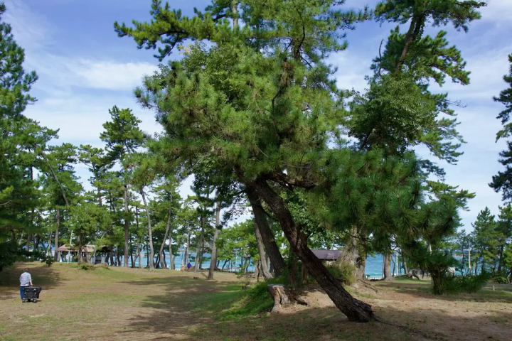 福井の海辺でキャンプ！若狭和田キャンプ場 完全ガイド