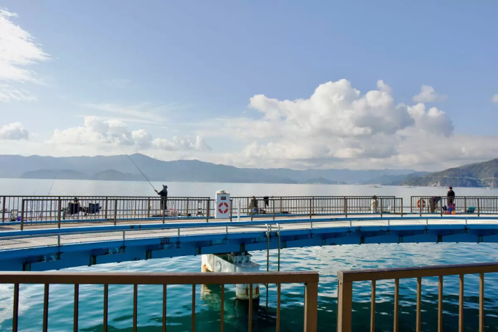 若狭湾海钓:赤栗海钓公园完整指南