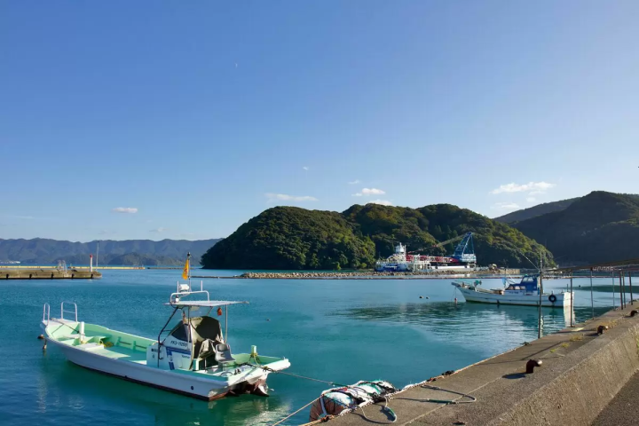 若狭湾海钓:赤栗海钓公园完整指南