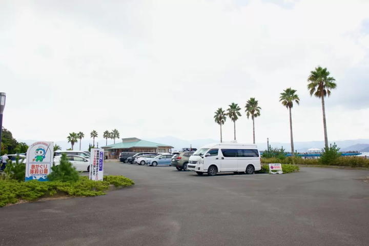 若狭湾海钓:赤栗海钓公园完整指南