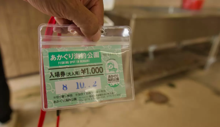 若狭湾海钓:赤栗海钓公园完整指南