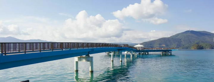 若狭湾海钓:赤栗海钓公园完整指南
