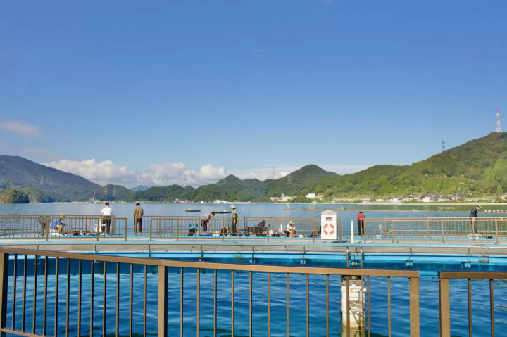 若狭湾海钓:赤栗海钓公园完整指南