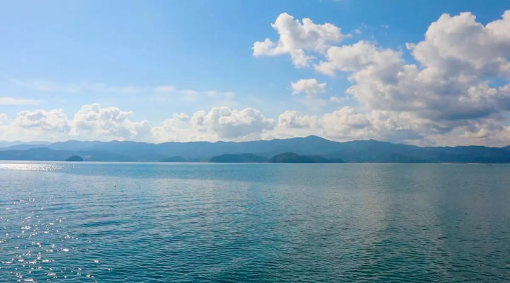 若狭湾海钓:赤栗海钓公园完整指南