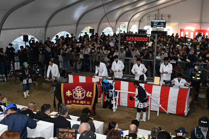 【2026年11月】松阪牛肉節完整指南!免費壽喜燒品嚐精彩拍賣!