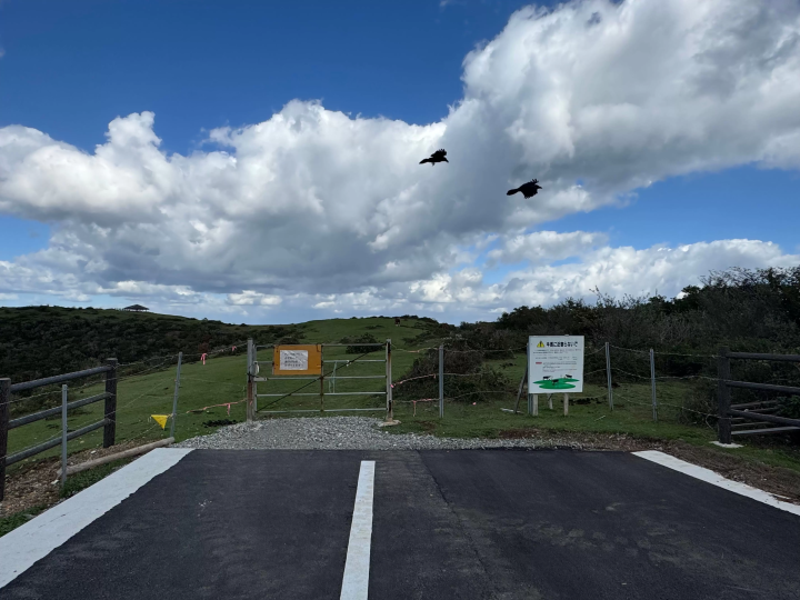 【島根県】西ノ島をドライブして絶景を満喫!海と大地が織りなす景色を巡る旅