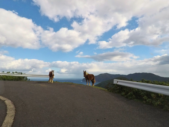 【島根県】西ノ島をドライブして絶景を満喫!海と大地が織りなす景色を巡る旅