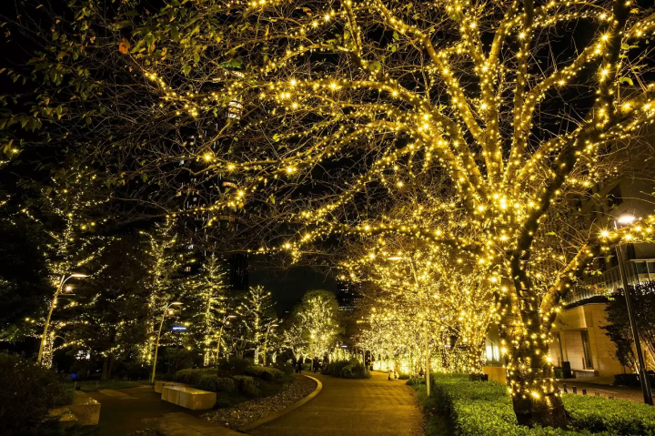 Tokyo Midtown Christmas