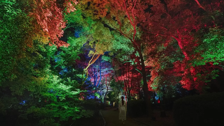 teamLab Hama-rikyu
