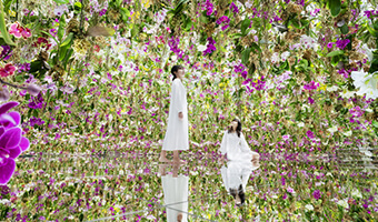 福島第一原発は今 現場を歩いてわかった5つのこと Matcha 訪日外国人観光客向けwebマガジン