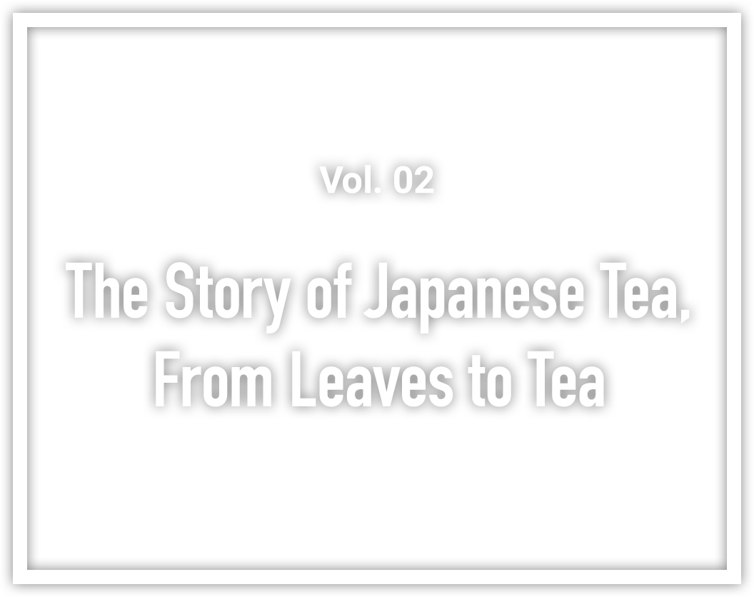 The Story of Japanese Tea, From Leaves to Tea Japan Travel Guide MATCHA